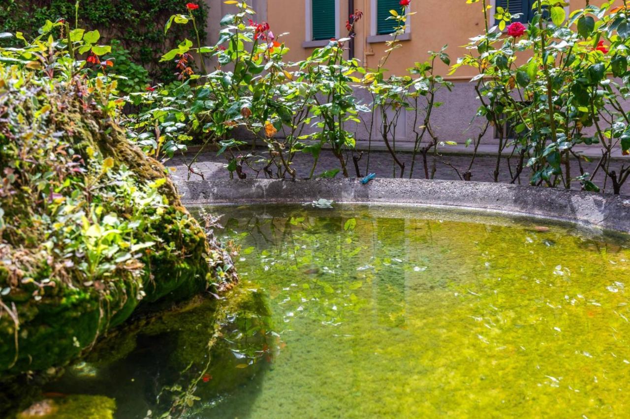 Loft Porta Romana - Cozy Apartment & Wi-Fi 米兰 外观 照片